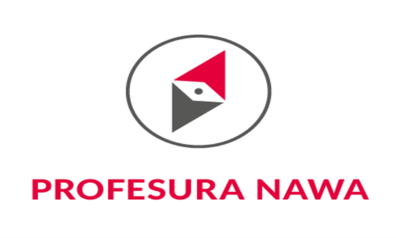 Logo konkursu Profesura_NAVA